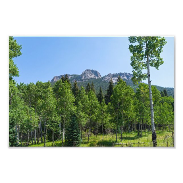 thorodin summit above woodlands at golden gate photo print (Front)