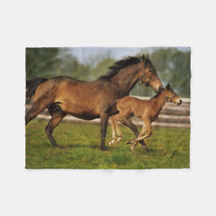 Thoroughbred Chestnut Mare & Foal Fleece Blanket