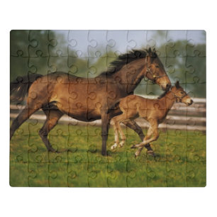 Thoroughbred Chestnut Mare & Foal Jigsaw Puzzle
