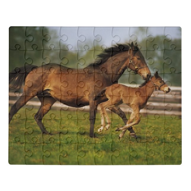 Thoroughbred Chestnut Mare & Foal Jigsaw Puzzle (Puzzle Horizontal)
