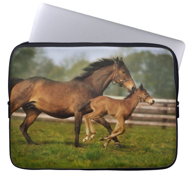 Thoroughbred Chestnut Mare & Foal Laptop Sleeve (Front)