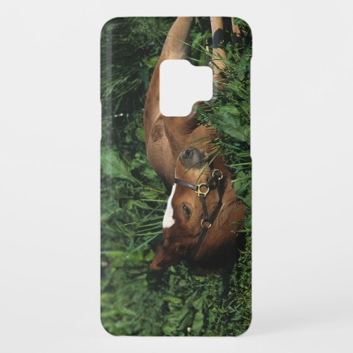Thoroughbred Foal Lying Down Case_Mate Samsung Galaxy S9 Case