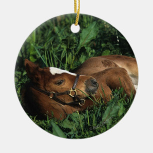 Thoroughbred Foal Lying Down Ceramic Ornament