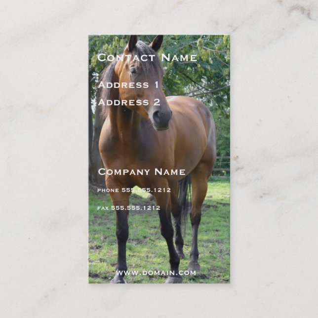 Thoroughbred Horse Business Card (Front)