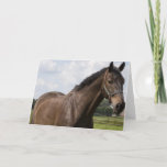 Thoroughbred Horse Card