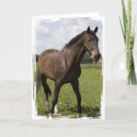 Thoroughbred Horse Card