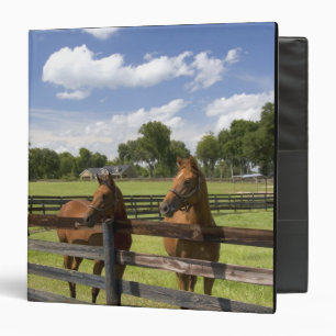 Thoroughbred horse farm in Marion County, 3 Ring Binder
