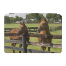 Thoroughbred horse farm in Marion County, iPad Mini Cover