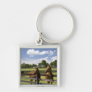 Thoroughbred horse farm in Marion County, Keychain