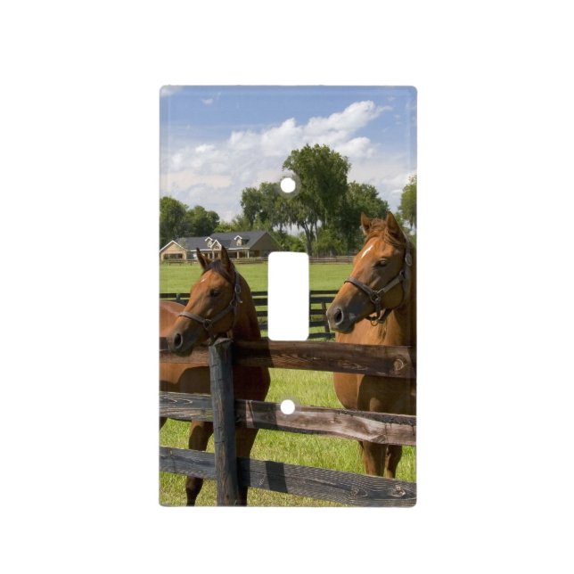 Thoroughbred horse farm in Marion County, Light Switch Cover (Front)