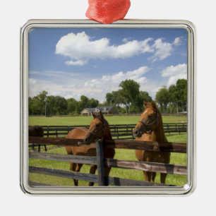 Thoroughbred horse farm in Marion County, Metal Ornament