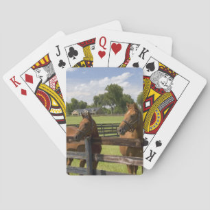 Thoroughbred horse farm in Marion County, Poker Cards