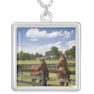 Thoroughbred horse farm in Marion County, Silver Plated Necklace