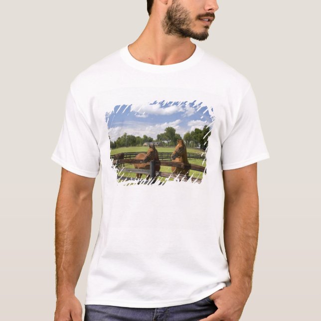 Thoroughbred horse farm in Marion County, T-Shirt (Front)