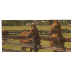 Thoroughbred horse farm in Marion County, Wood USB Flash Drive