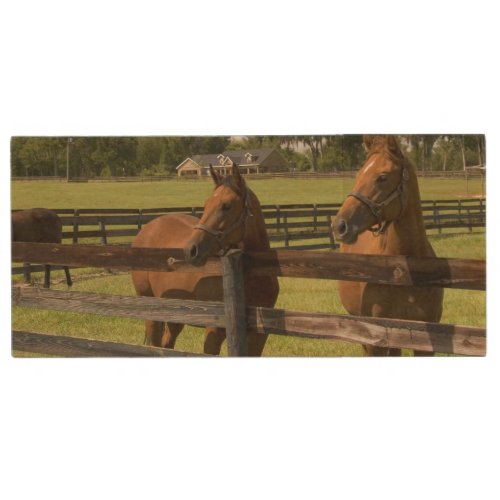 Thoroughbred horse farm in Marion County Wood USB Flash Drive
