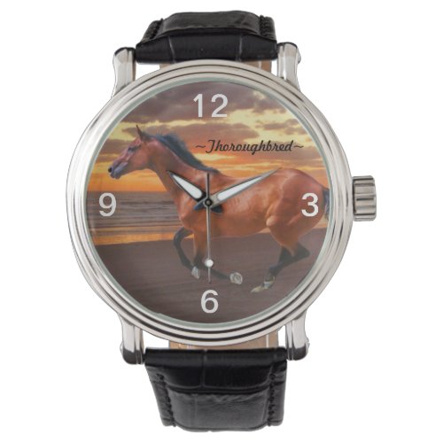 Thoroughbred horse galloping Sunrise Watch