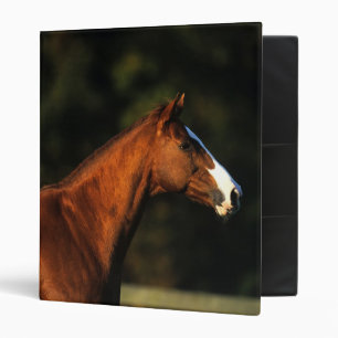 Thoroughbred Horse Headshot 3 Ring Binder
