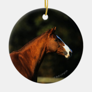 Thoroughbred Horse Headshot Ceramic Ornament