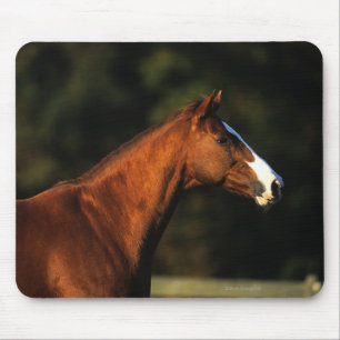 Thoroughbred Horse Headshot Mouse Pad