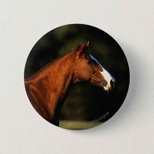 Thoroughbred Horse Headshot Pinback Button (Front)