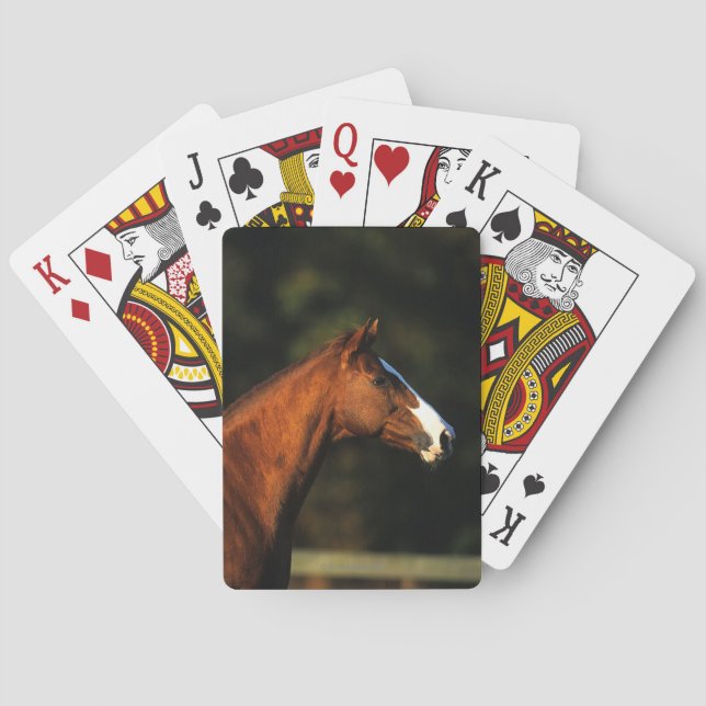 Thoroughbred Horse Headshot Poker Cards (Back)