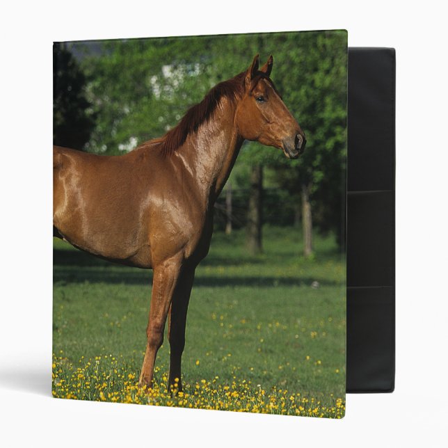 Thoroughbred Horse in Flowers Binder (Front/Inside)