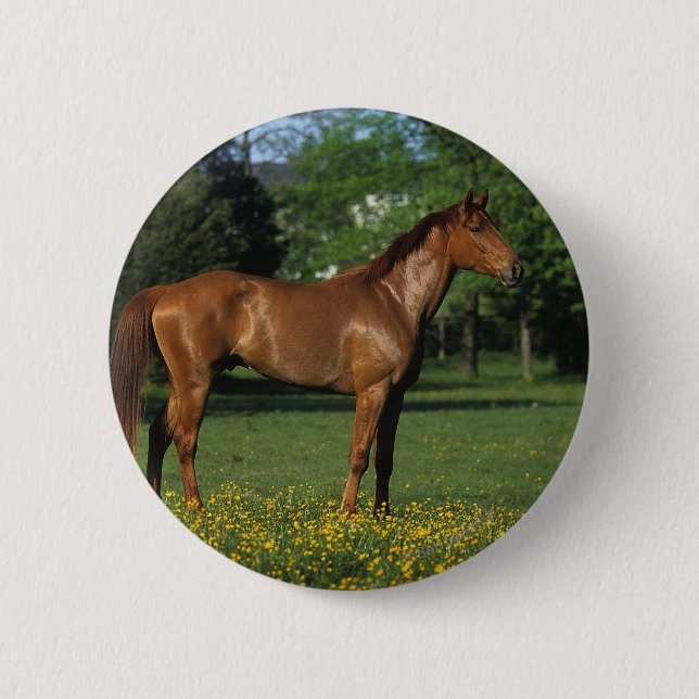 Thoroughbred Horse in Flowers Button (Front)