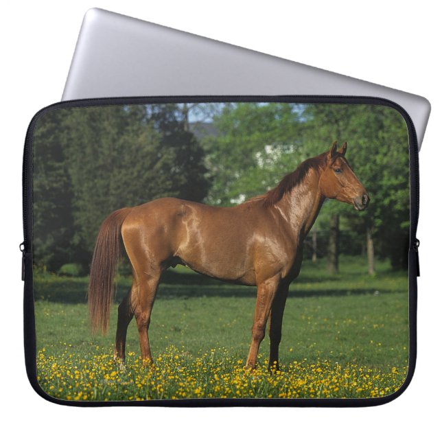 Thoroughbred Horse in Flowers Laptop Sleeve (Front)