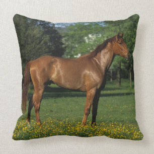 Thoroughbred Horse in Flowers Throw Pillow