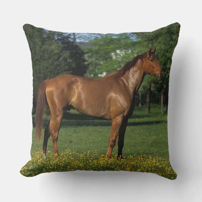Thoroughbred Horse in Flowers Throw Pillow (Front)