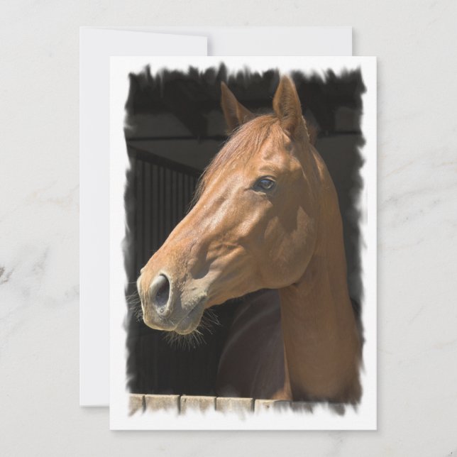 Thoroughbred Horse Invitation (Front)