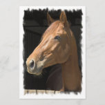 Thoroughbred Horse Invitation