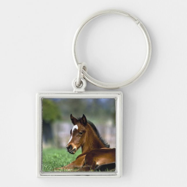 Thoroughbred Horse, Ireland Keychain (Front)