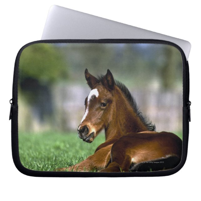 Thoroughbred Horse | Ireland Laptop Sleeve (Front)