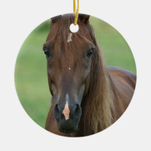 Thoroughbred Horse Photo Ornament