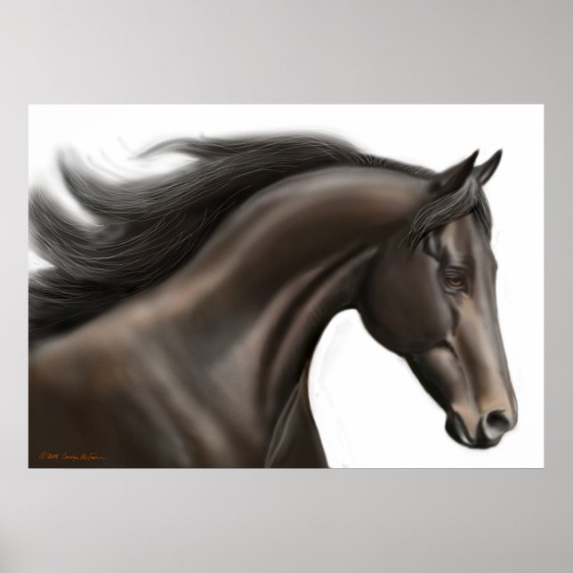 Thoroughbred Horse Poster (Front)