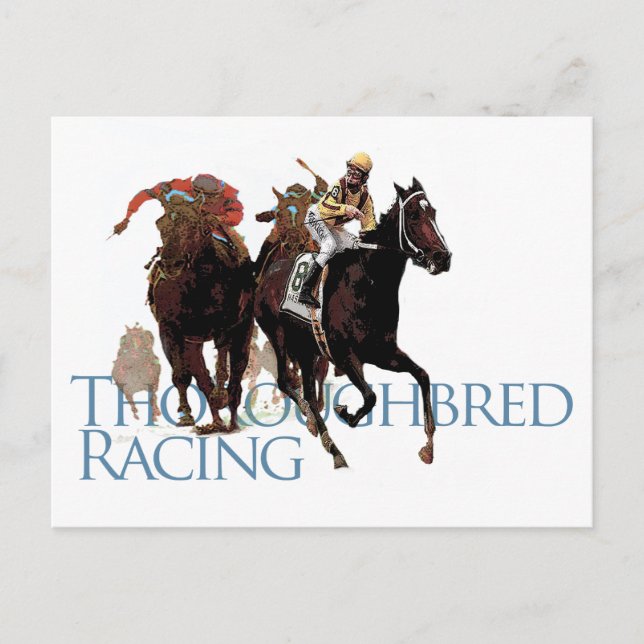 Thoroughbred Horse Racing Gifts Postcard (Front)