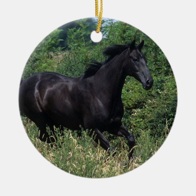 Thoroughbred Horse Running in Grass Ceramic Ornament (Front)