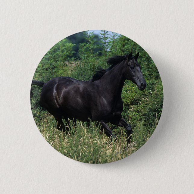Thoroughbred Horse Running in Grass Pinback Button (Front)