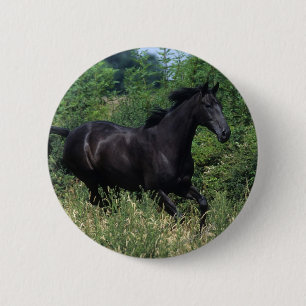 Thoroughbred Horse Running in Grass Pinback Button