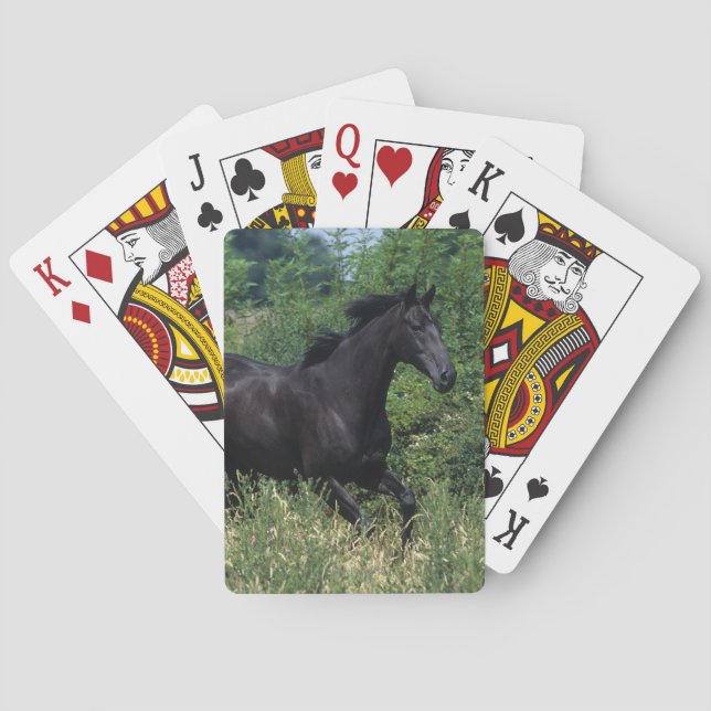 Thoroughbred Horse Running in Grass Poker Cards (Back)