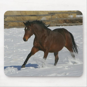 Thoroughbred Horse Running in the Snow Mouse Pad