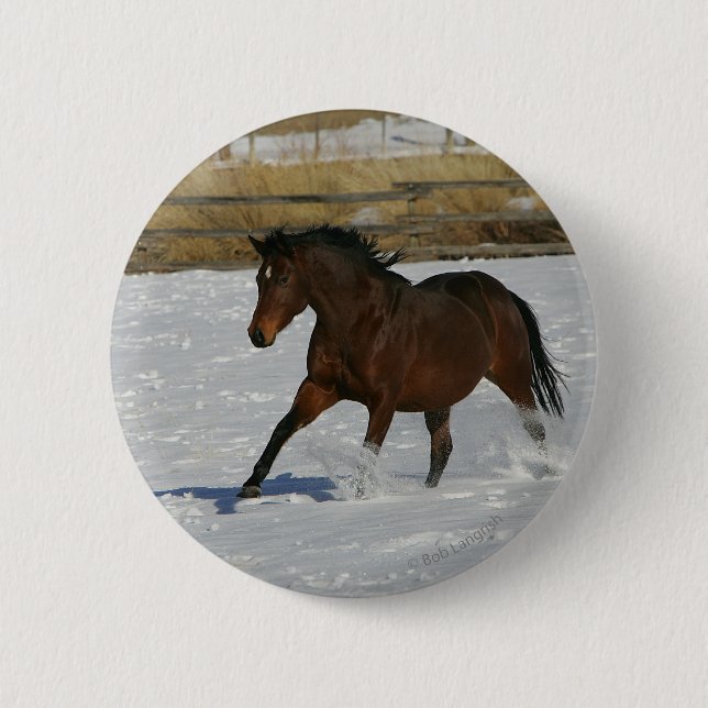 Thoroughbred Horse Running in the Snow Pinback Button (Front)