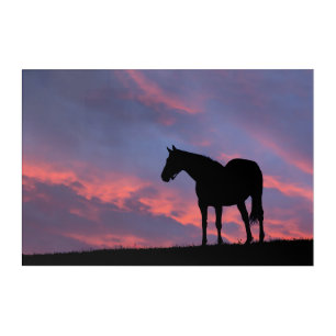 Thoroughbred Horse Silhouetted at Sunrise Acrylic Print