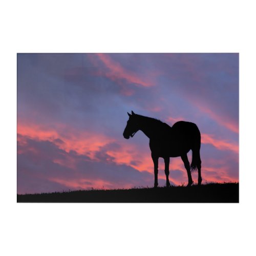 Thoroughbred Horse Silhouetted at Sunrise Acrylic Print