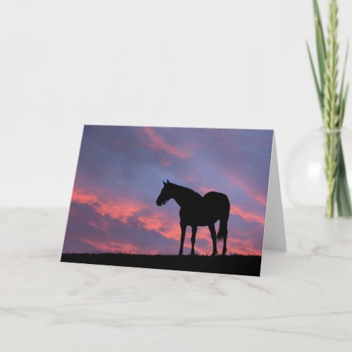 Thoroughbred Horse Silhouetted at Sunrise Card