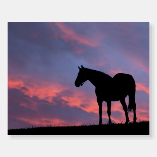 Thoroughbred Horse Silhouetted at Sunrise Foam Board
