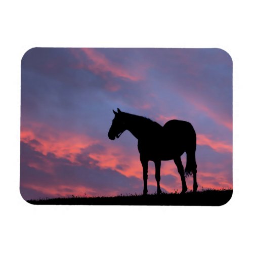 Thoroughbred Horse Silhouetted at Sunrise Magnet