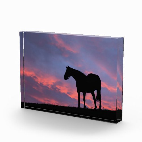 Thoroughbred Horse Silhouetted at Sunrise Photo Block